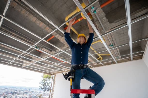 Best Plumbing Inspection Services  in Plantsville, CT